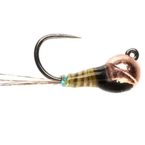 Quilldigon fly pattern for trout fishing