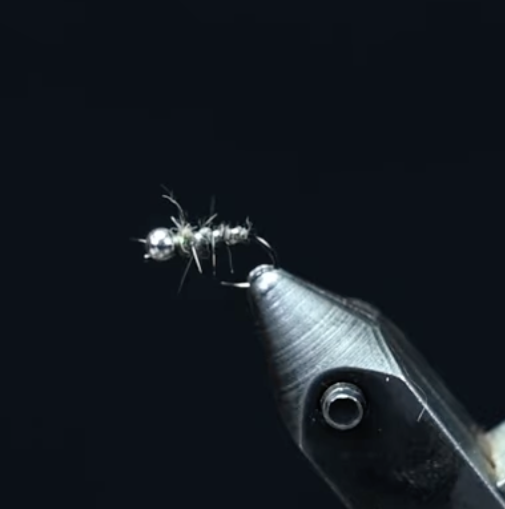 Mike Komara's Walt's Worm fly pattern for trout fishing