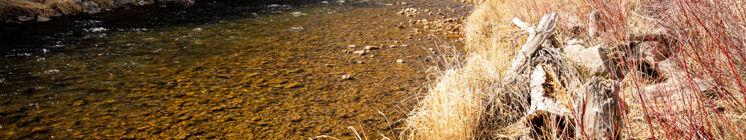 Provo River