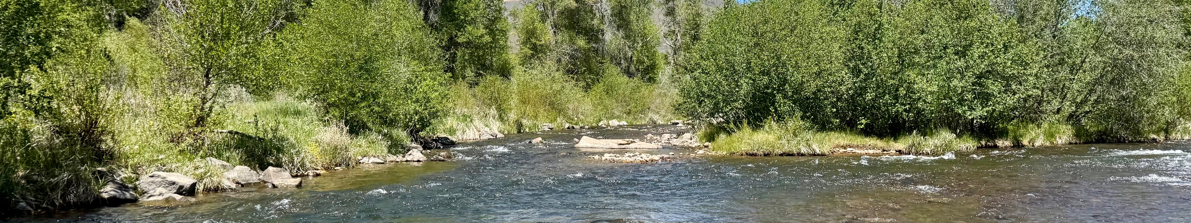 Provo River